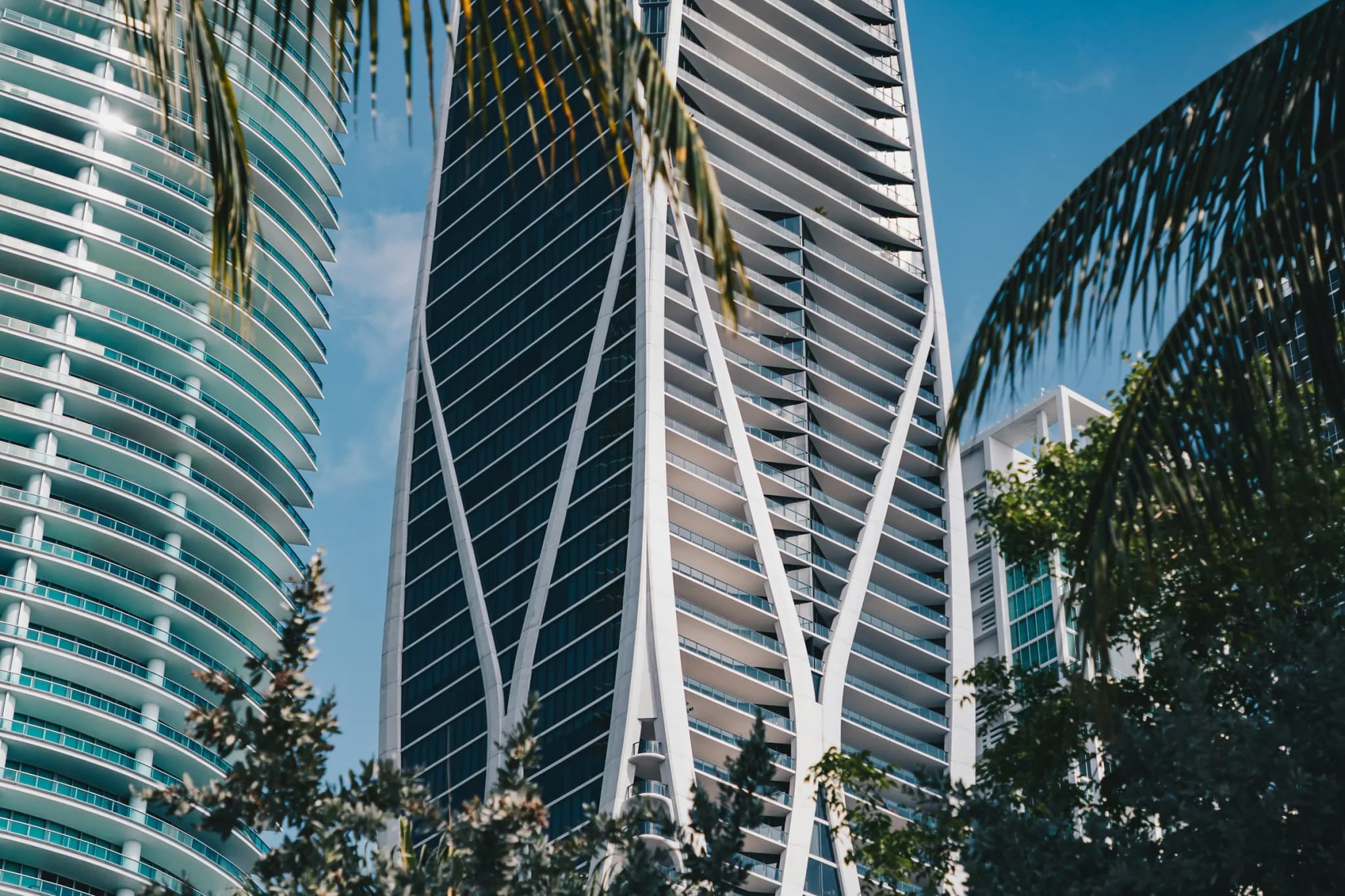 Florida waterfront skyline with palm trees — BlackShield Risk Management security services