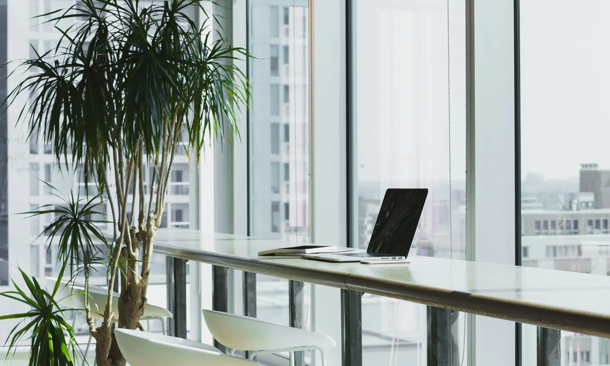 Bright modern open office workspace with desks and natural light